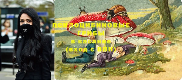 ALPHA PVP Алексин