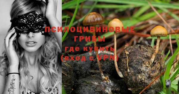 МДПВ Алексеевка