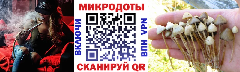 Псилоцибиновые грибы MAGIC MUSHROOMS Йошкар-Ола